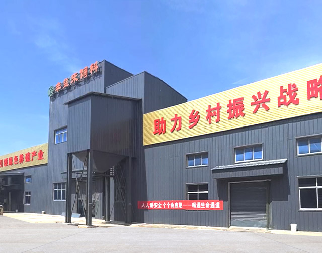 规模实力